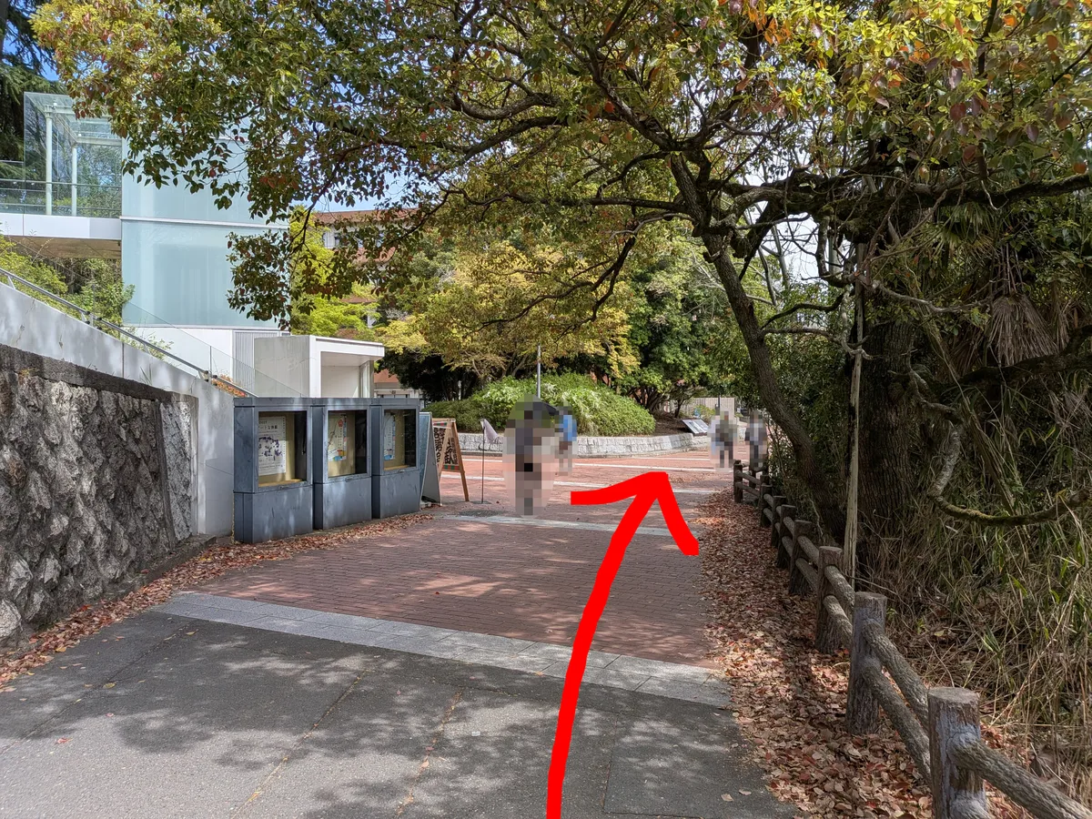 行き方を説明する画像