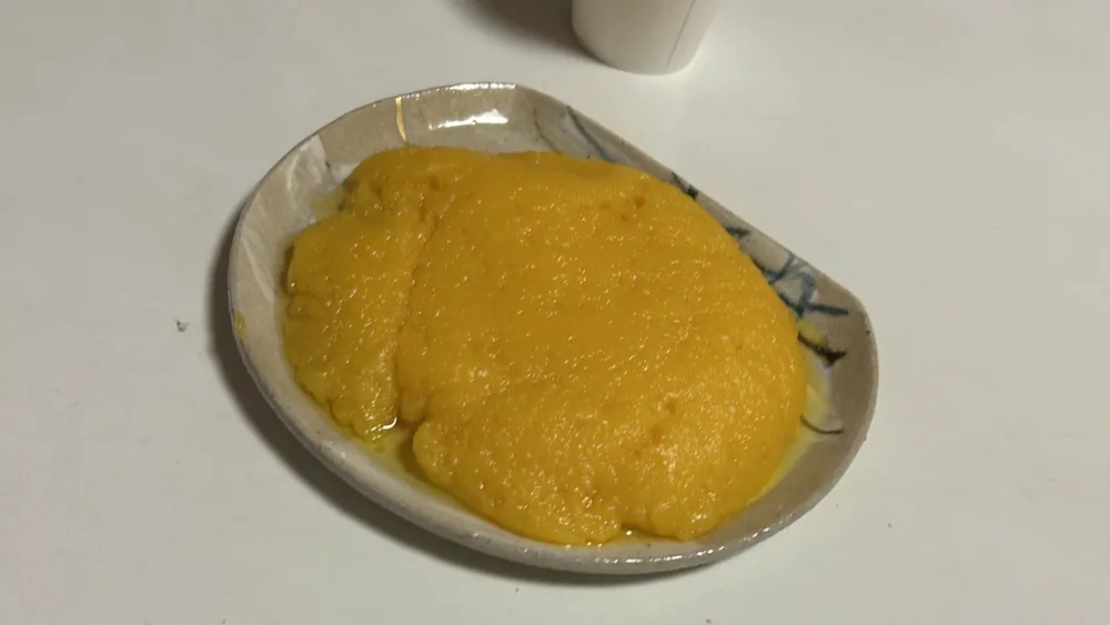 合宿の様子